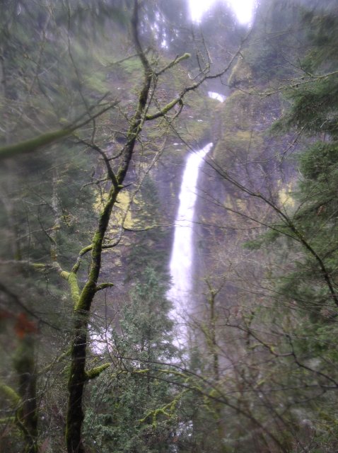 12.23.05 Elowah Falls 046 
